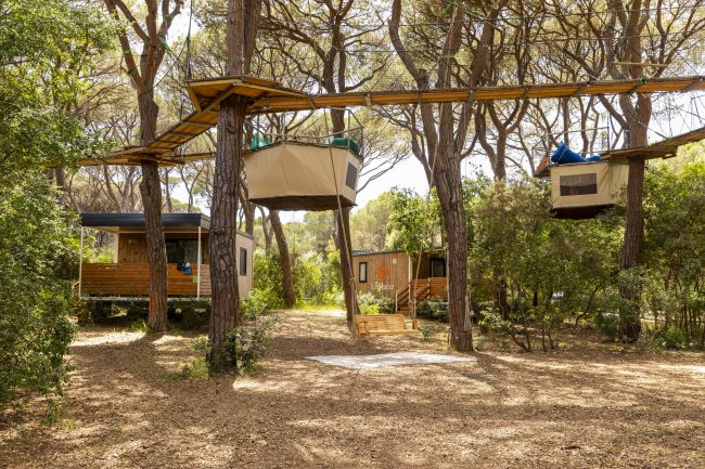 Due casette sospese tra gli alberi.