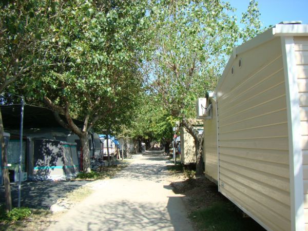 Sentiero alberato con caravan e tende ai lati.