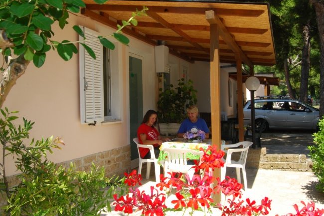Due persone sedute a un tavolo sotto un portico fiorito.