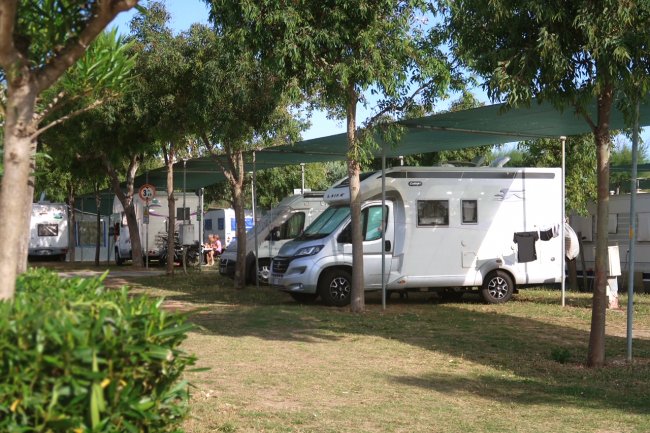 Camper parcheggiati tra gli alberi.