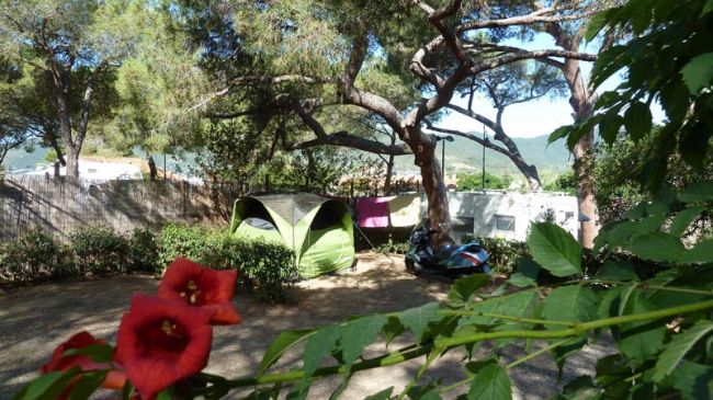 Camping Lacona Pineta (LI) Toscana