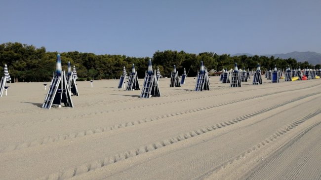 Una spiaggia deserta con lettini pieghevoli chiusi allineati sulla sabbia, alberi sullo sfondo.