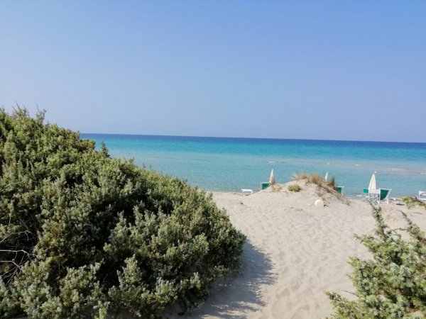 Spiaggia con mare turchese e dune di sabbia.