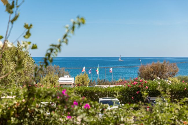 Vista sul mare con bandiere e vegetazione.