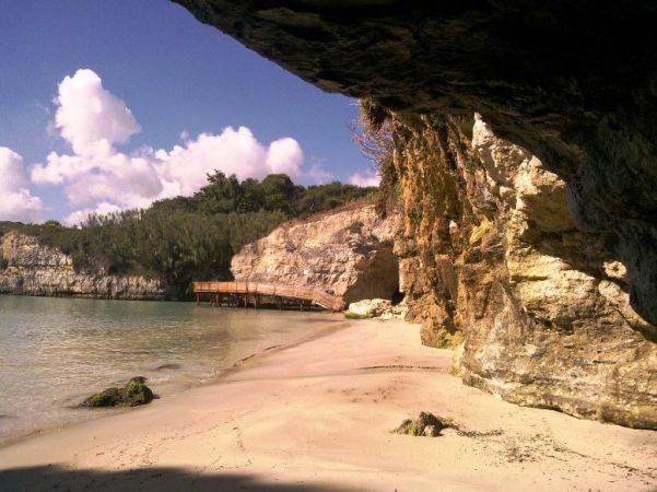 Una spiaggia sabbiosa riparata da una scogliera con vegetazione e un ponte in lontananza.