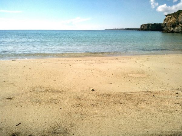 Una spiaggia sabbiosa con mare calmo e scogli in lontananza.