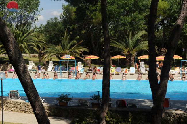 Una piscina con persone a bordo, circondata da lettini e palme.