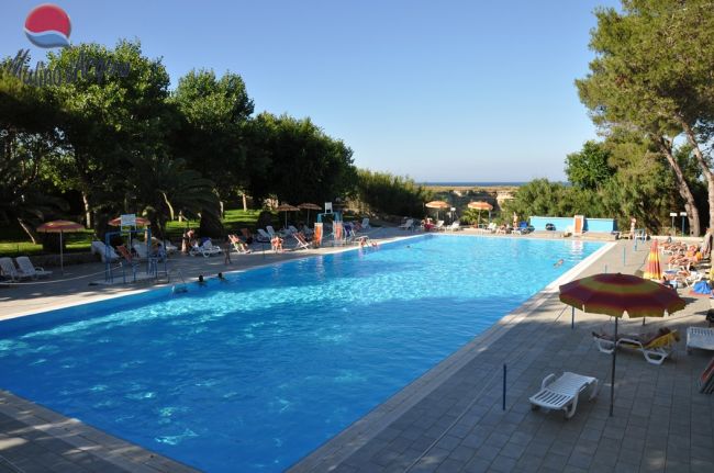 Una piscina all'aperto circondata da alberi, con lettini e ombrelloni.