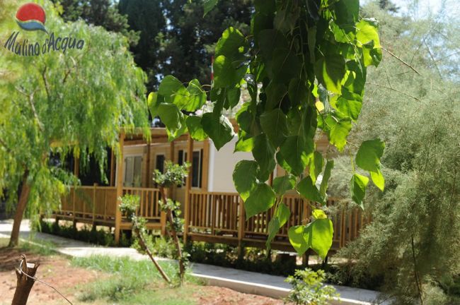 Casa di legno immersa nel verde con alberi e piante rigogliose.