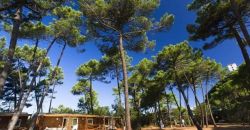 PuntAla Camp & Resort - Castiglione della Pescaia Toscana
