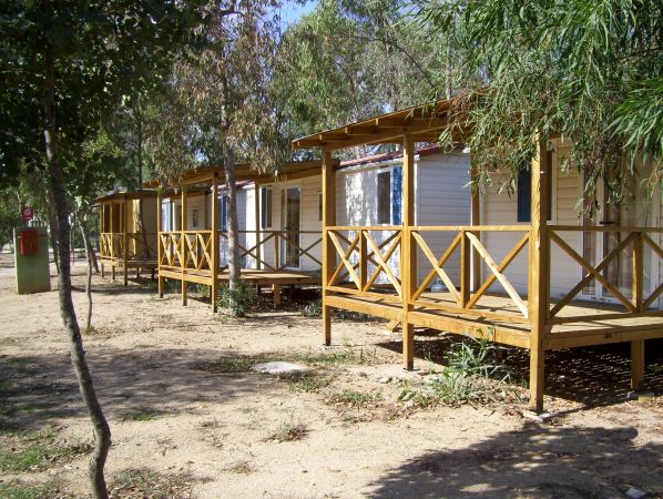 Bungalow in legno con verande immerse nel verde.