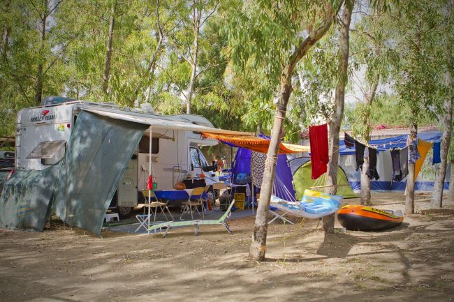 Area campeggio con camper, tavoli da picnic, amaca e canoe sotto alberi.