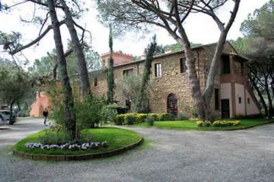 Ampio viale alberato con un edificio in pietra e prato fiorito.
