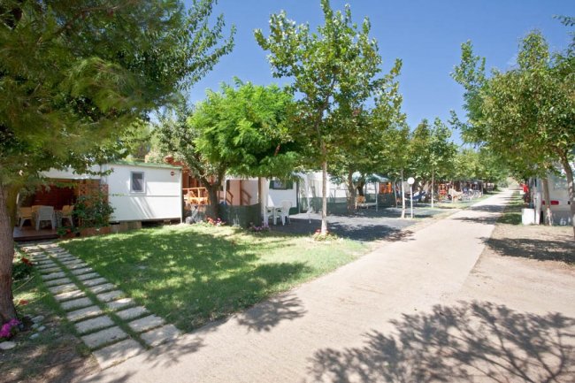 Case mobili tra alberi su un sentiero.