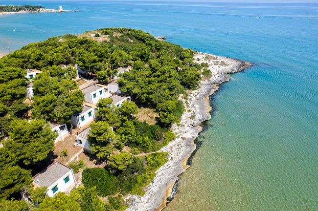 Case bianche tra alberi vicino al mare.