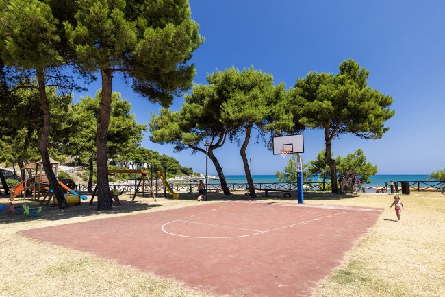Campo da basket all'aperto vicino al mare, circondato da alberi.
