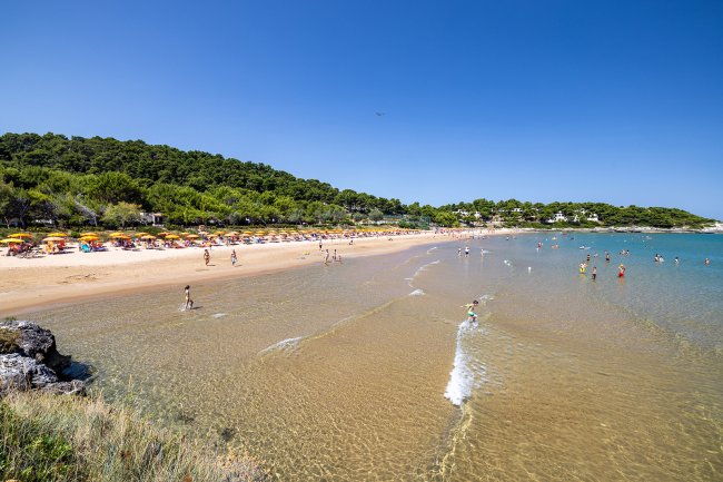 Spiaggia sabbiosa con bagnanti e ombrelloni gialli e arancioni.