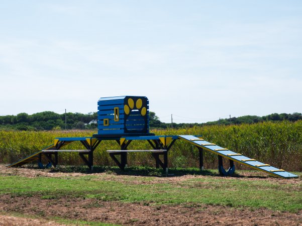 Struttura blu in legno con rampe nel campo.