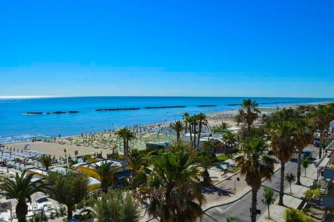 Spiaggia soleggiata con mare blu e palme.