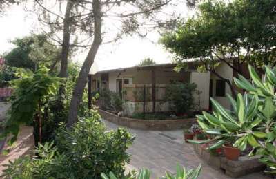 Un giardino verdeggiante con sentieri pavimentati e vegetazione rigogliosa.