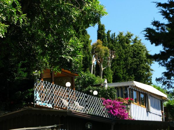 Struttura sopraelevata tra gli alberi con fiori.