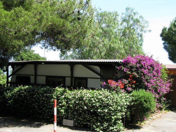 Casa tra alberi con fiori viola.