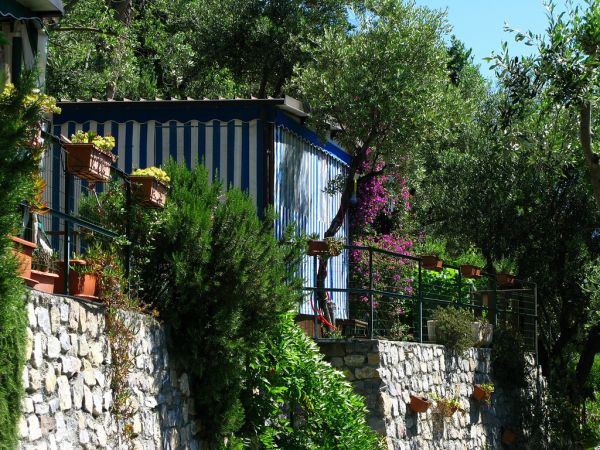 Casa su terrazza con piante in vaso.