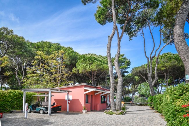 Struttura rosa piccola tra alberi alti.