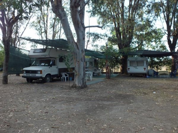 Camper parcheggiati all'ombra di grandi alberi.
