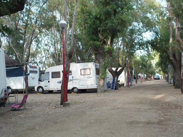 Camper parcheggiati tra gli alberi.