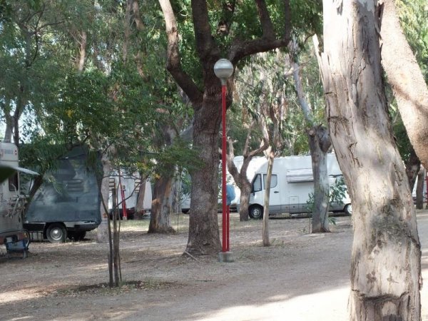 Camper tra gli alberi in campeggio.