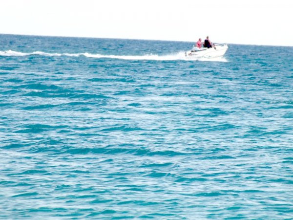 Barca a motore su mare blu.