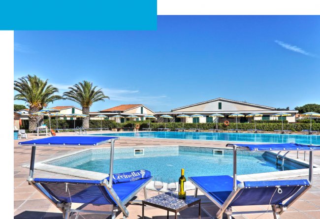 Piscina con lettini e tavolino, circondata da palme.
