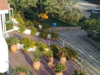 Un patio con vasi di piante e fiori, contornato da cespugli e alberi.
