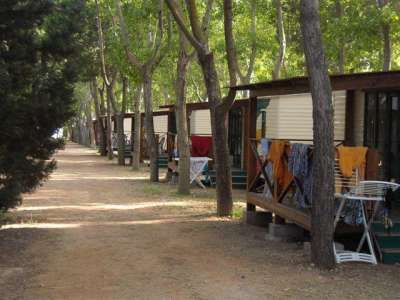 File di bungalow in legno immersi tra gli alberi, con sedie e asciugamani sui terrazzi.