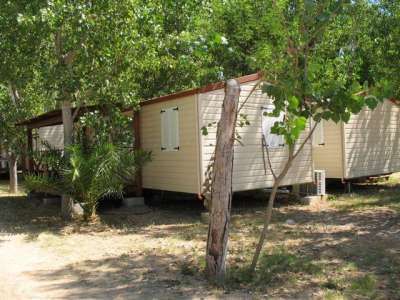 Bungalow in legno circondati da alberi in un'area verde.