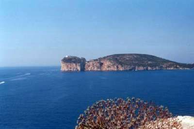 Promontorio roccioso sul mare con vegetazione in primo piano.