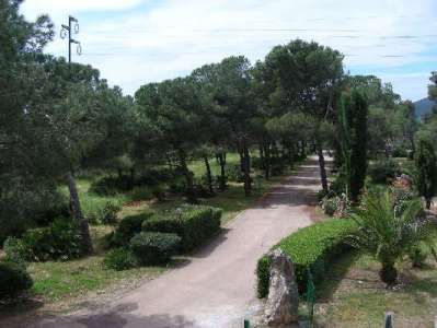 Sentiero sterrato circondato da siepi e alberi verdi in un parco.