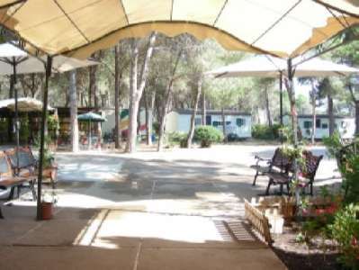 Un'area esterna con panchine e ombrelloni, circondata da alberi e roulotte sullo sfondo.