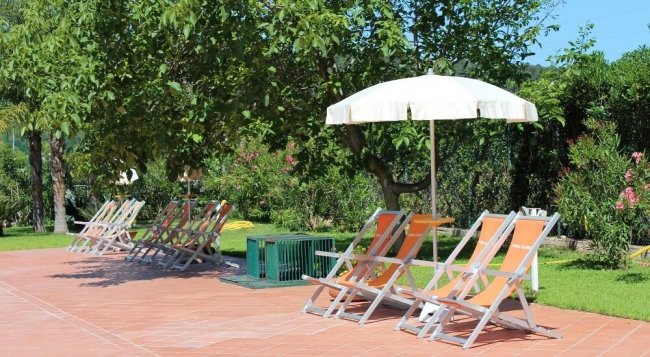 Sdraio arancioni con ombrellone, circondate da alberi.