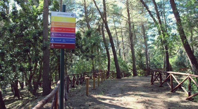 Sentiero nel bosco con cartello colorato.
