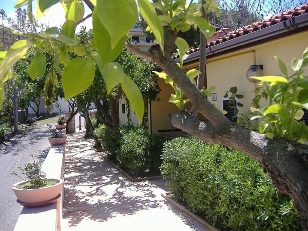 Sentiero fiancheggiato da piante e vasi, vicino a un edificio con tetto in tegole rosse.