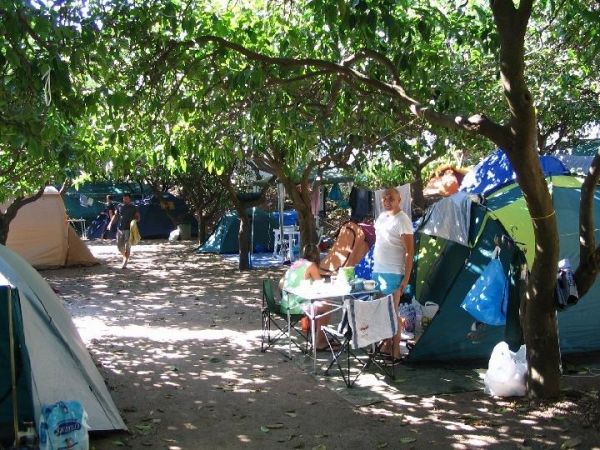 Campeggio all'ombra di alberi, tende e una persona vicino a un tavolino.