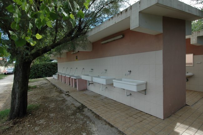 Lavandini esterni accanto a un muro.