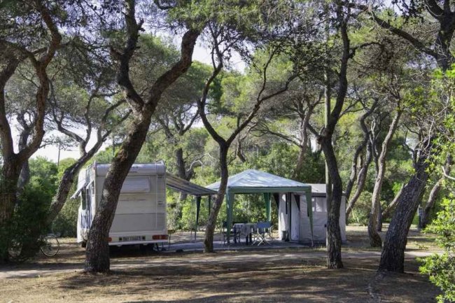 Camper e tenda tra alberi in un'area camping.