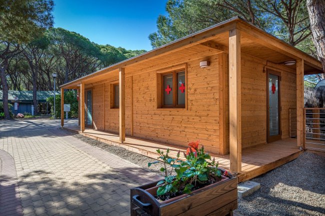 Bungalow di legno con veranda tra gli alberi.