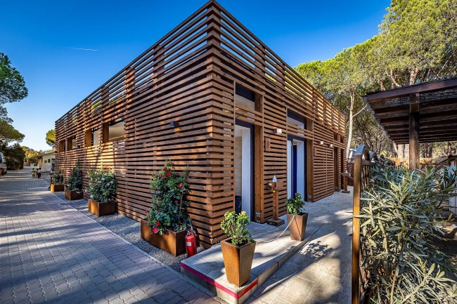 Edificio con pareti di legno e piante in vaso.