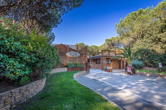 Ingresso al camping circondato da alberi e verde.