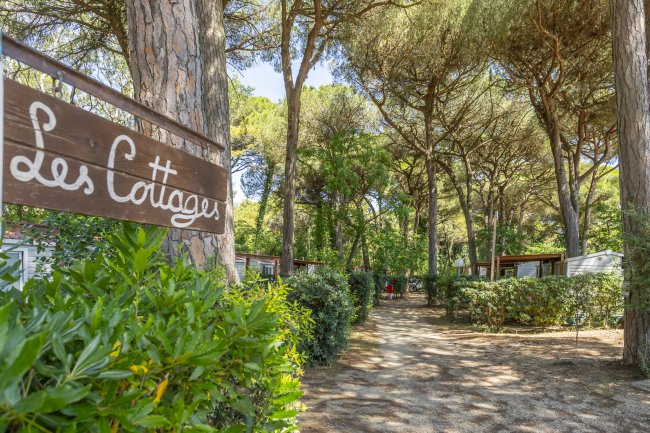 Sentiero alberato con segnale 