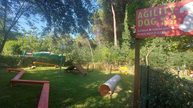 Area agility per cani in un giardino.